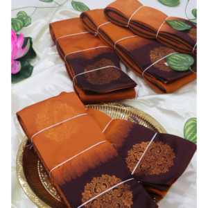 burnt orange saree